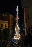 Fiore del Cielo splende nella notte